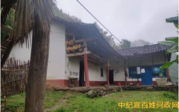 龙成元资料 龙成元资料