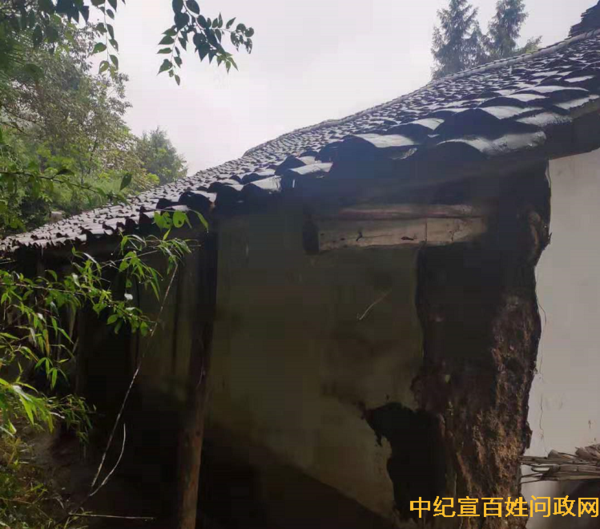 龙成元资料 龙成元资料