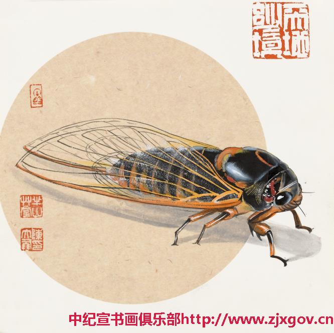 陈大鹏画家对于蝉的理解,可以说是很透彻.